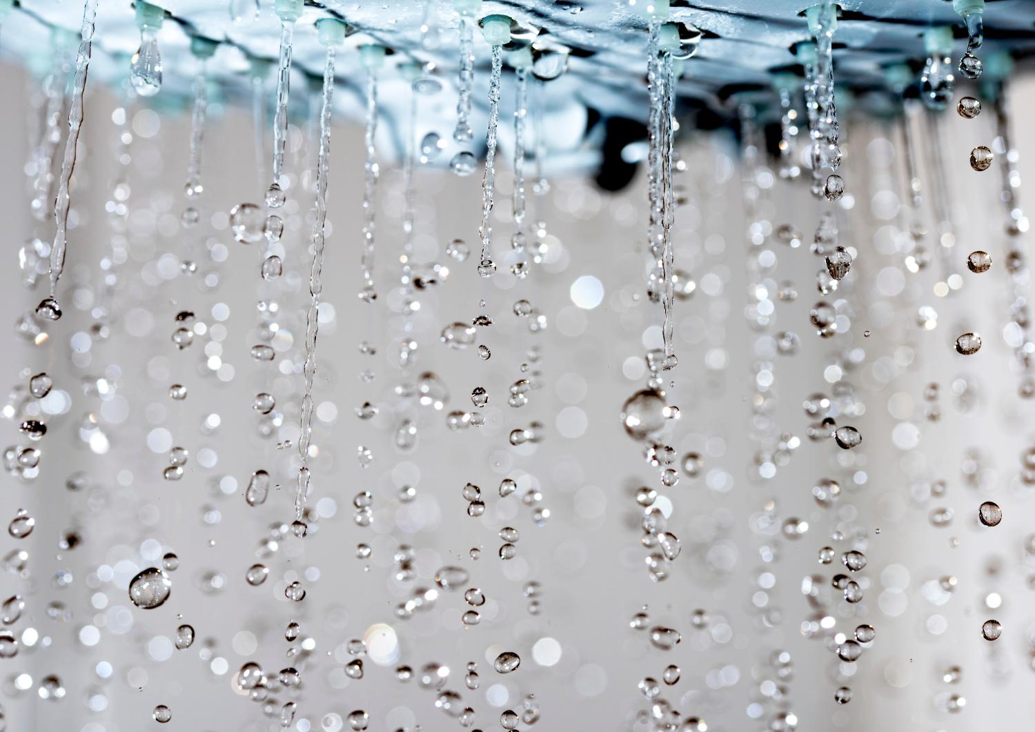 Legionella Cos’è e Come si Prende